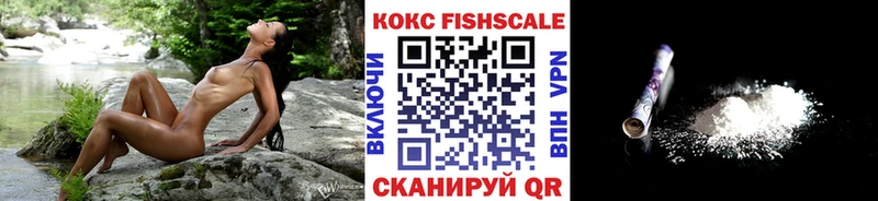 как найти закладки  Каргат  Кокаин Fish Scale 