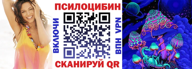 мега ССЫЛКА  купить наркотик  Каргат  Псилоцибиновые грибы Psilocybe 